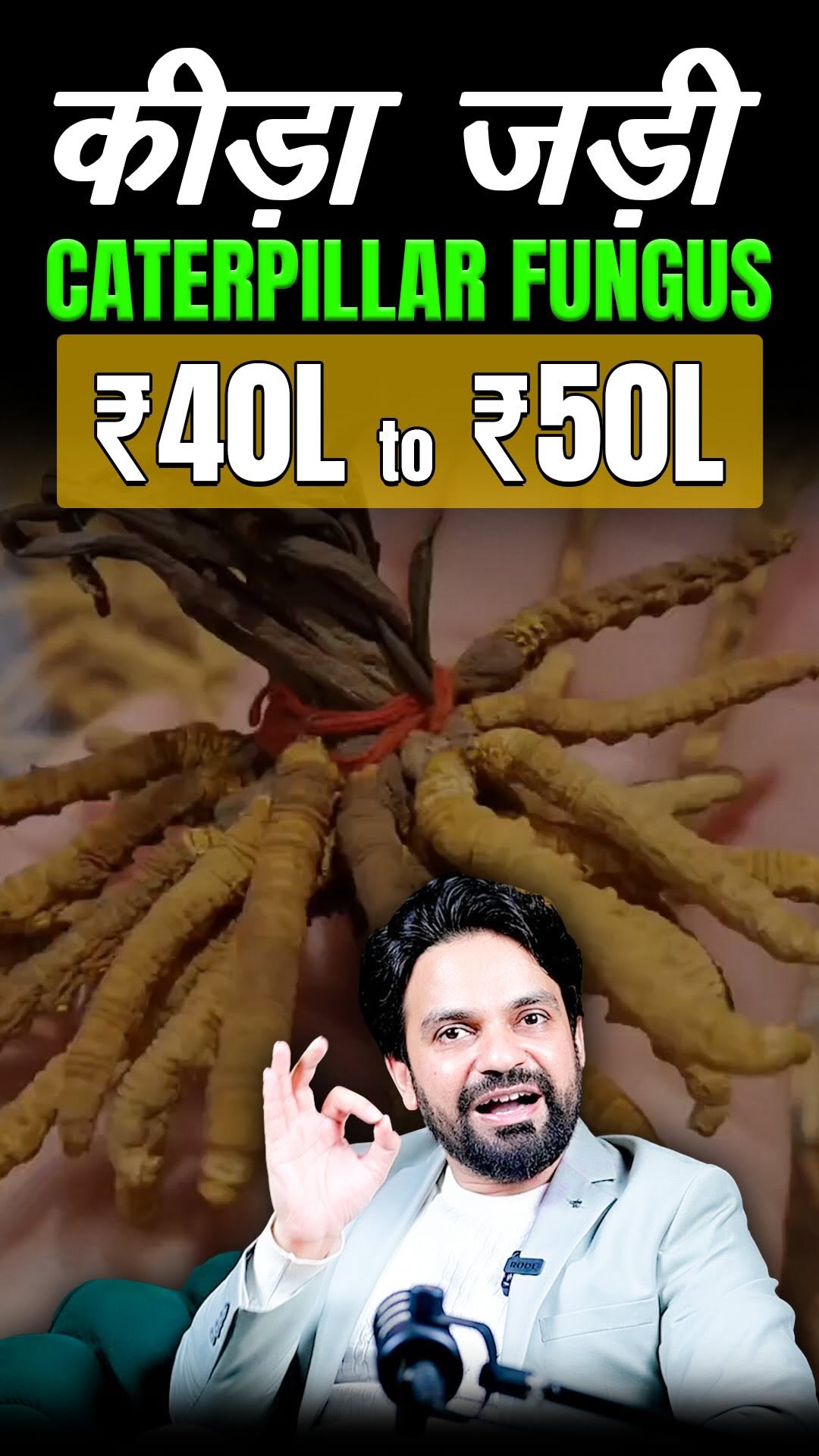 Keeda Jadi (Caterpillar Fungus)